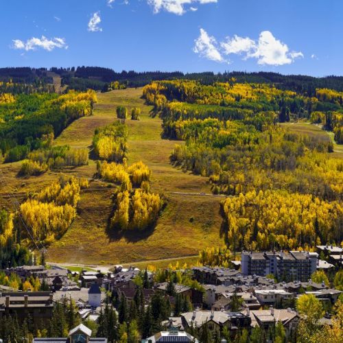 A scenic hillside town with golden fields, rolling olive trees, and distant mountains under a bright blue sky.
