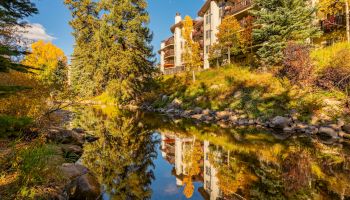 Sunlit apartment buildings line an autumn pond, reflecting in calm water beneath golden trees and scattered rocks.