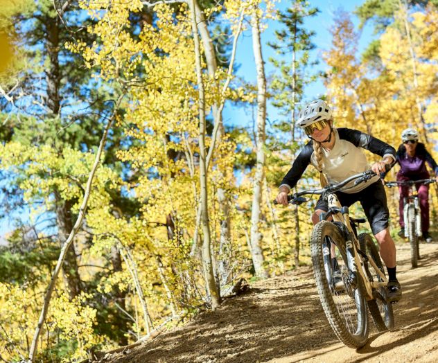 A cyclist in helmet rides a mountain bike downhill on a dirt trail through a sunny autumn forest.