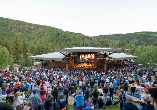 A large outdoor concert set in a forest valley, with a wooden stage, colorful audience, and surrounding trees and hills, sunny and lively.