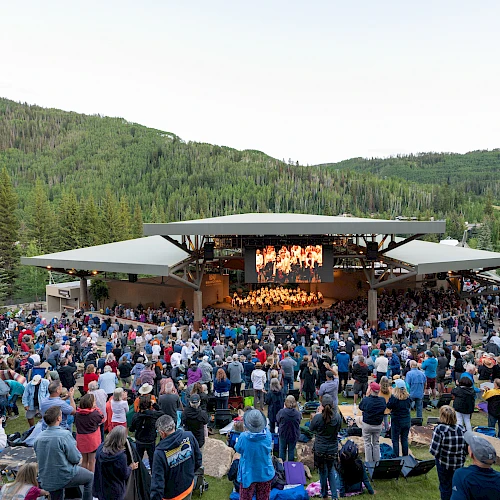 A large outdoor concert set in a forest valley, with a wooden stage, colorful audience, and surrounding trees and hills, sunny and lively.