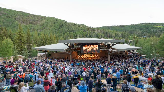 A large outdoor concert set in a forest valley, with a wooden stage, colorful audience, and surrounding trees and hills, sunny and lively.