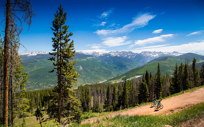 A mountain biker rides a dirt trail through a pine forest with distant snow-capped peaks under a blue sky. End.