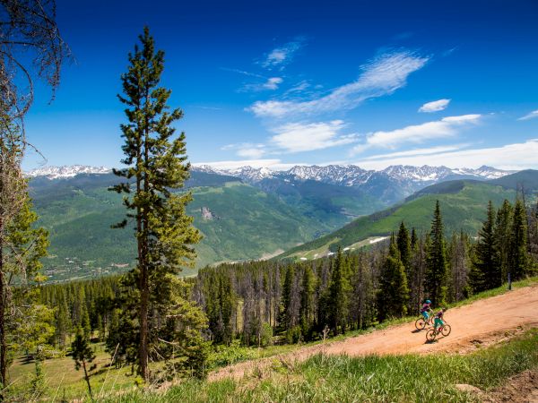 A cyclist rides along a dusty mountain trail with pine trees, green valleys, and snow-capped peaks under a bright blue sky.