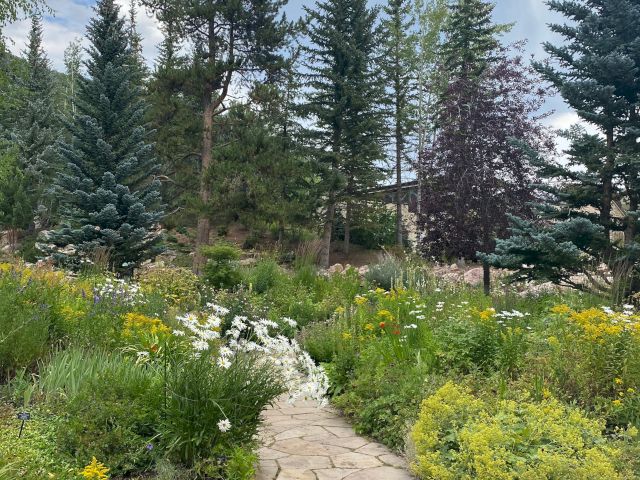 A stone path winds through a garden with yellow and white flowers, tall evergreen trees, and a bright, partly cloudy sky.