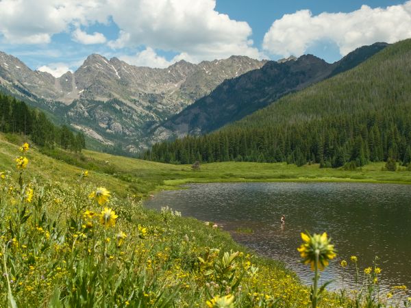 Mountain valley view with a small lake, wild yellow flowers, and tall evergreens beneath dramatic peaks.