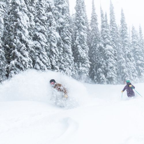 Two skiers carve through fresh snow as heavy snowfall swirls around a pine forest.