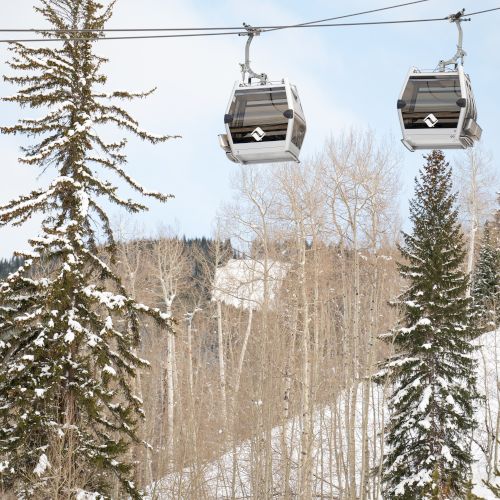 Two cable-gondola cabins glide on a wire above a snowy pine and leafless birch forest in winter sunlight.