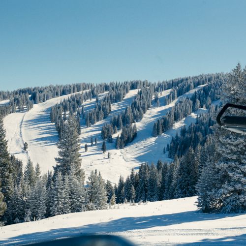 Austria Haus