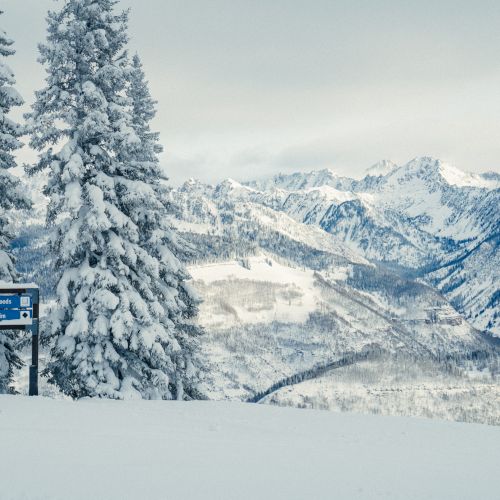 Snowy mountain valley with pine trees, distant peaks, and a blue sign pointing to Northwoods and South Rim.