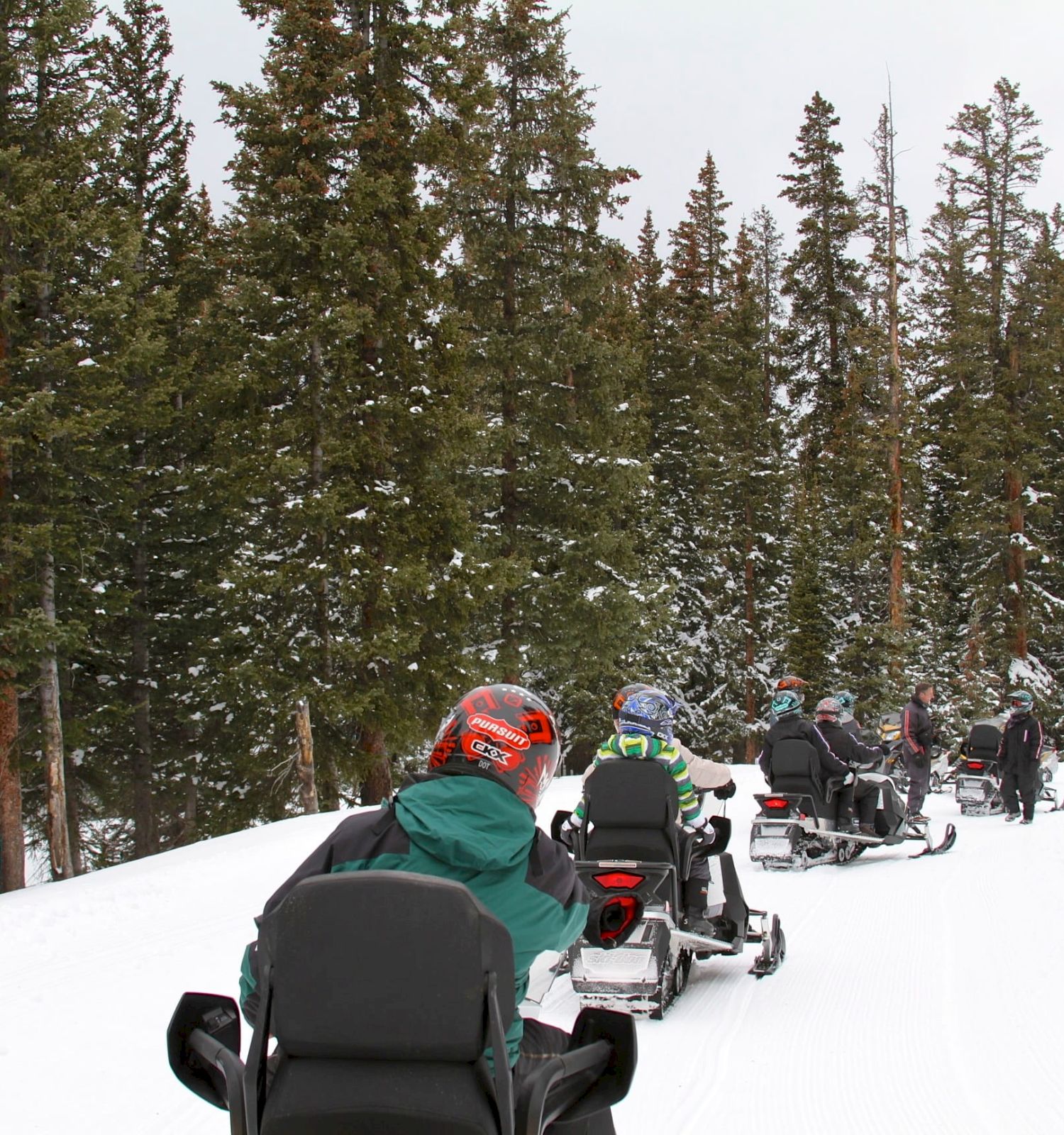 Snowmobilers in helmets ride a snowy trail through a dense pine forest, with multiple sleds lined up in the background.