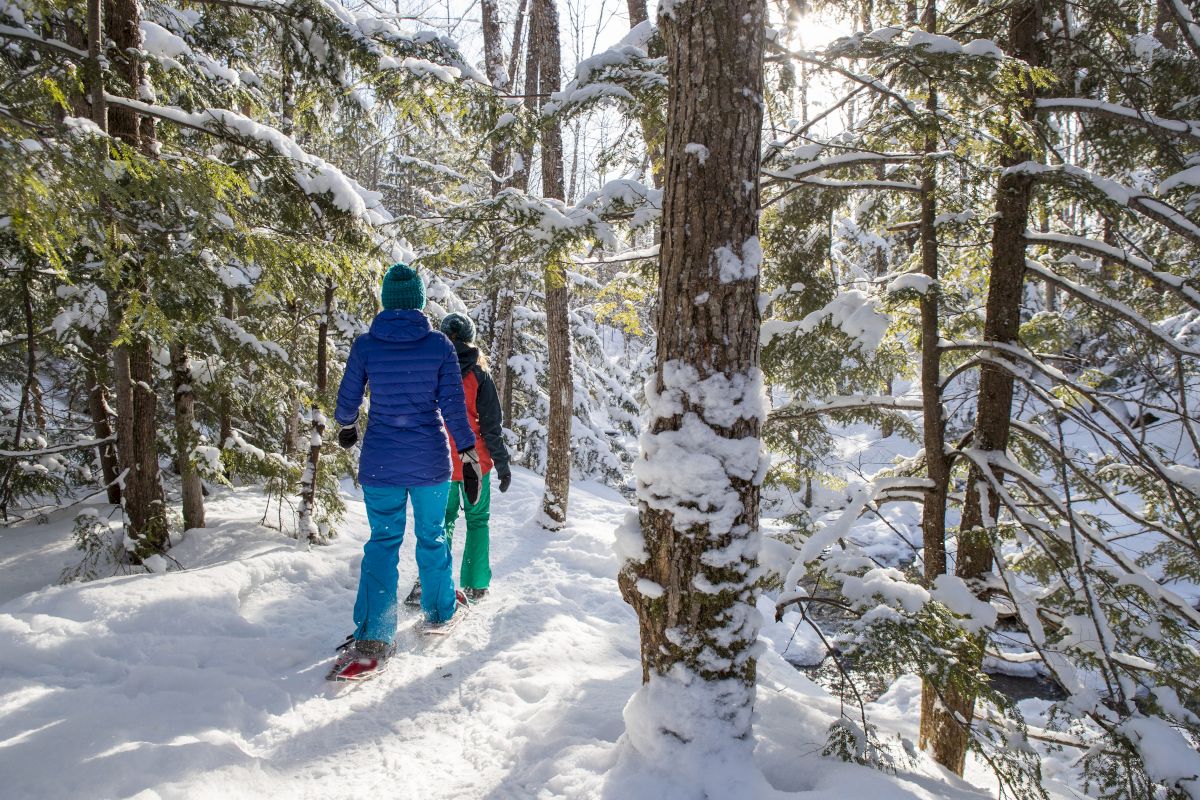 Two hikers in winter gear hike a snowy forest path, surrounded by snow-covered trees and bright sunlight filtering through the branches.